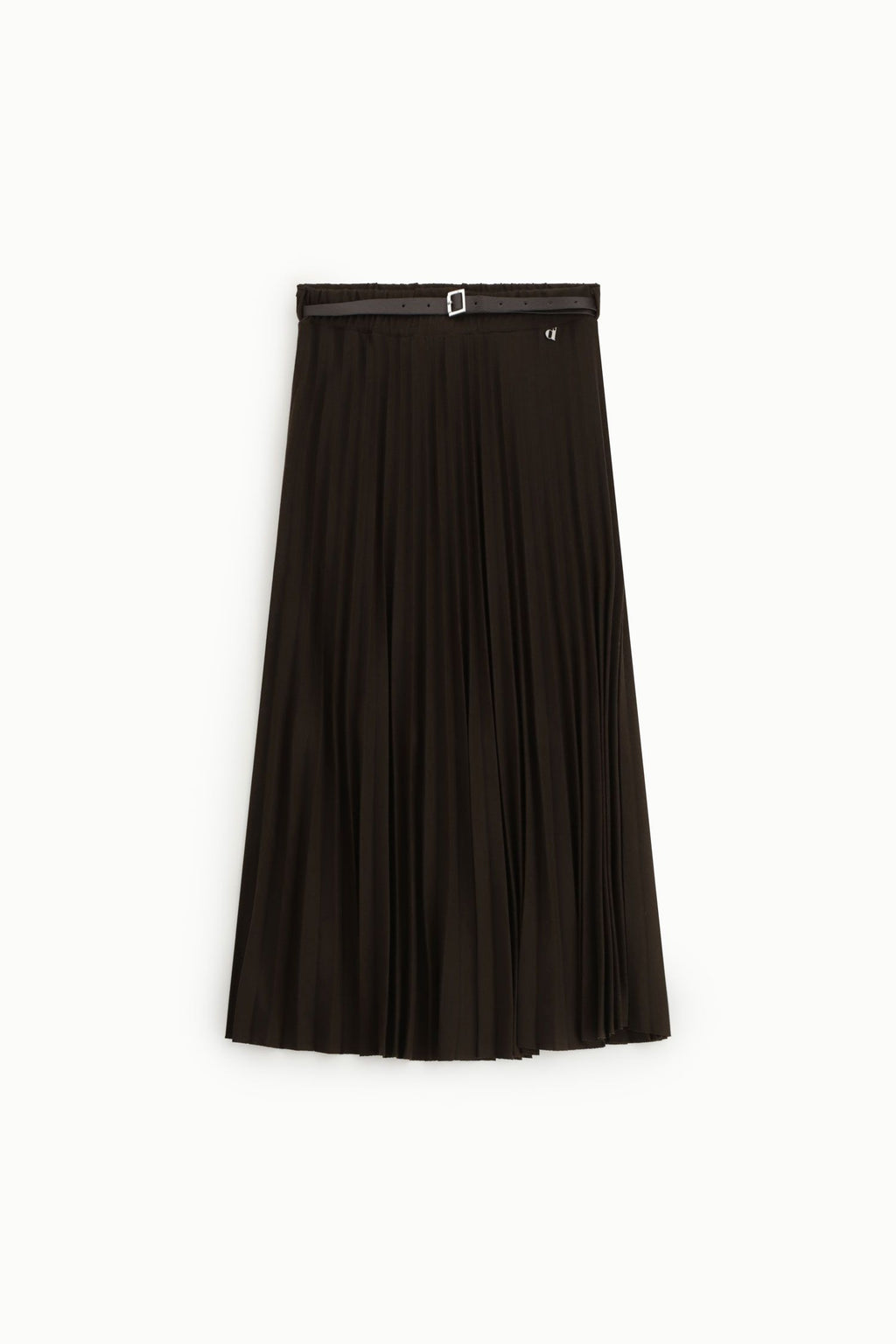 Long pleated skirt