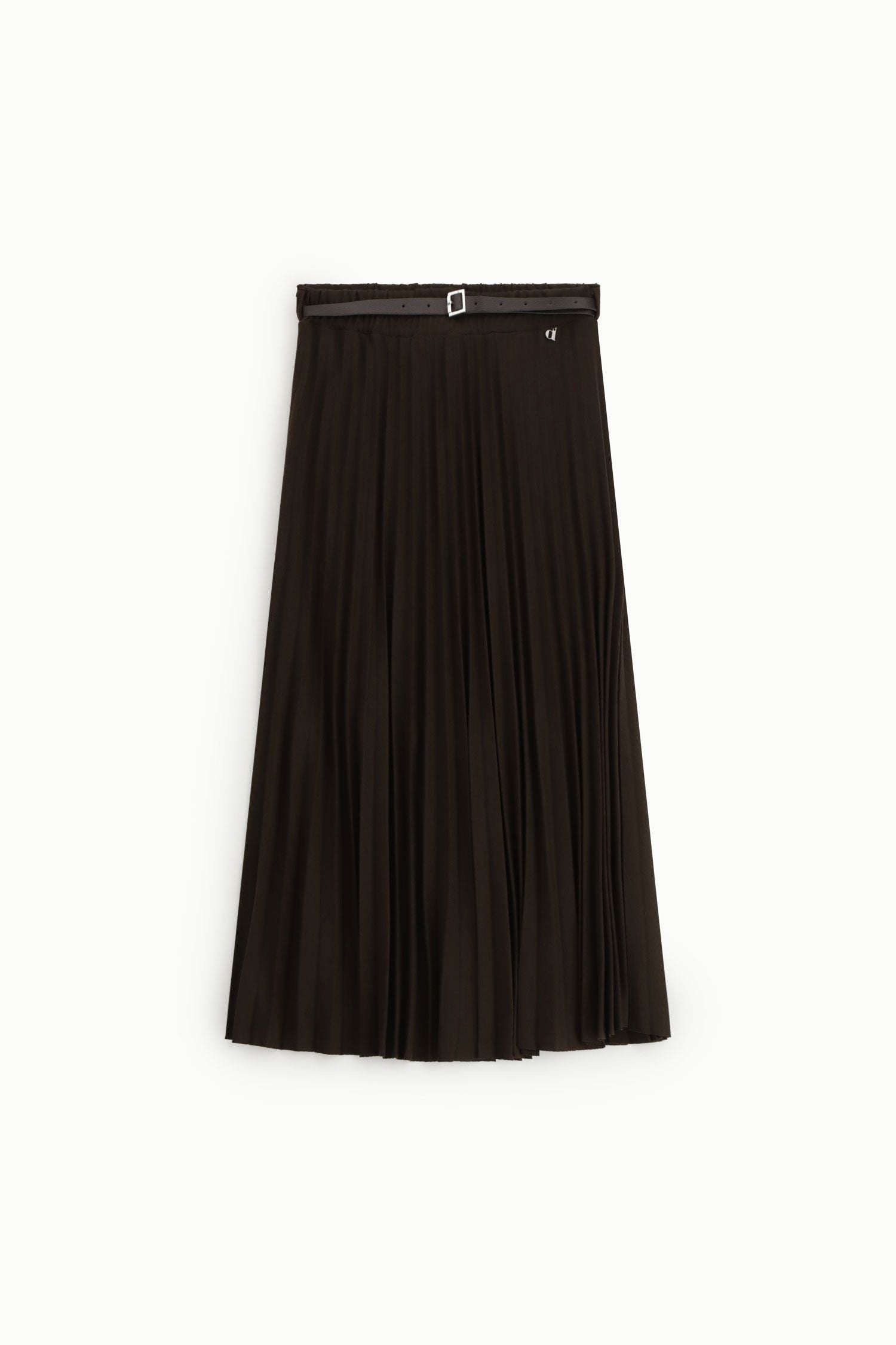 Long pleated skirt