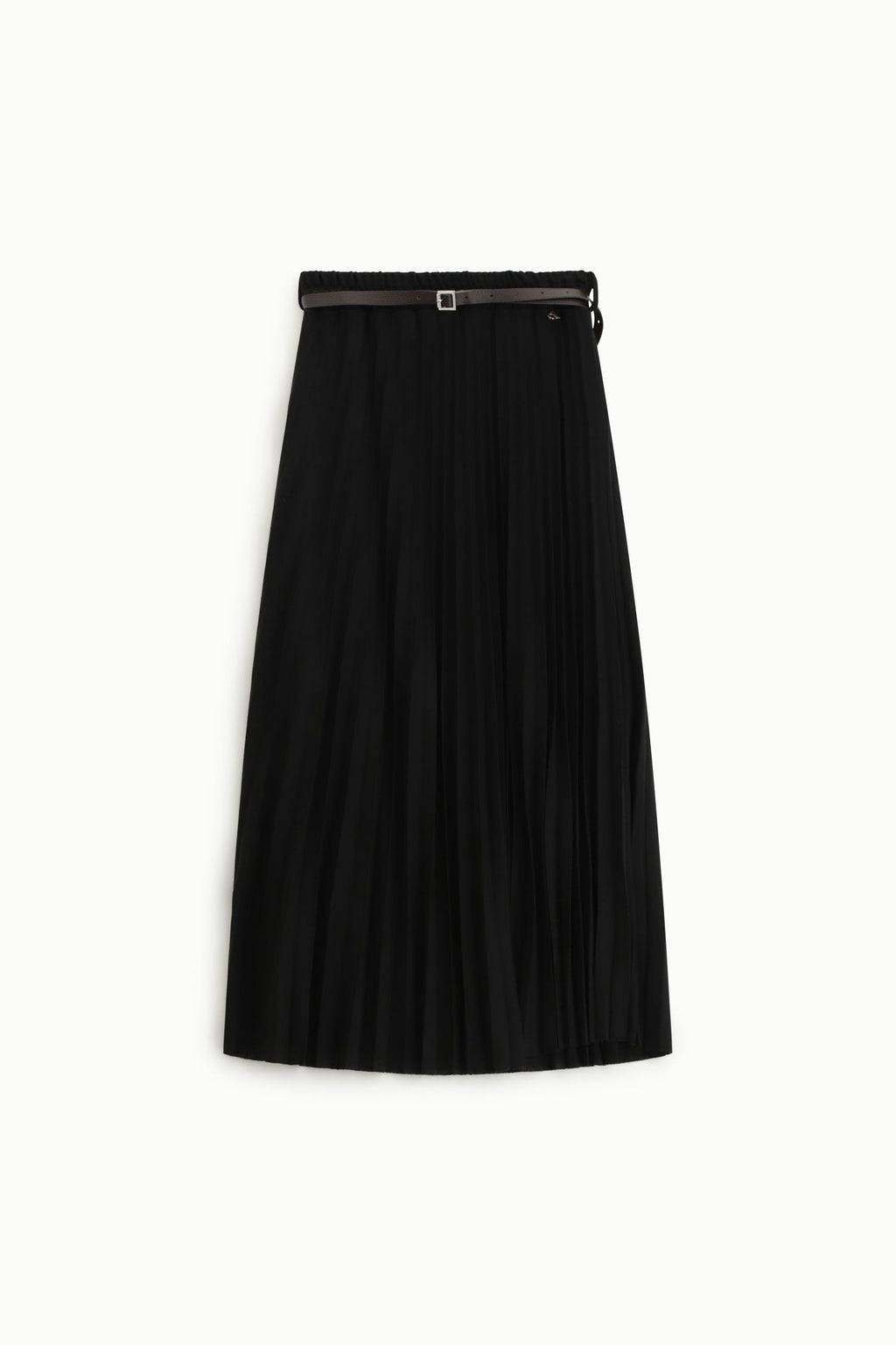 Long pleated skirt